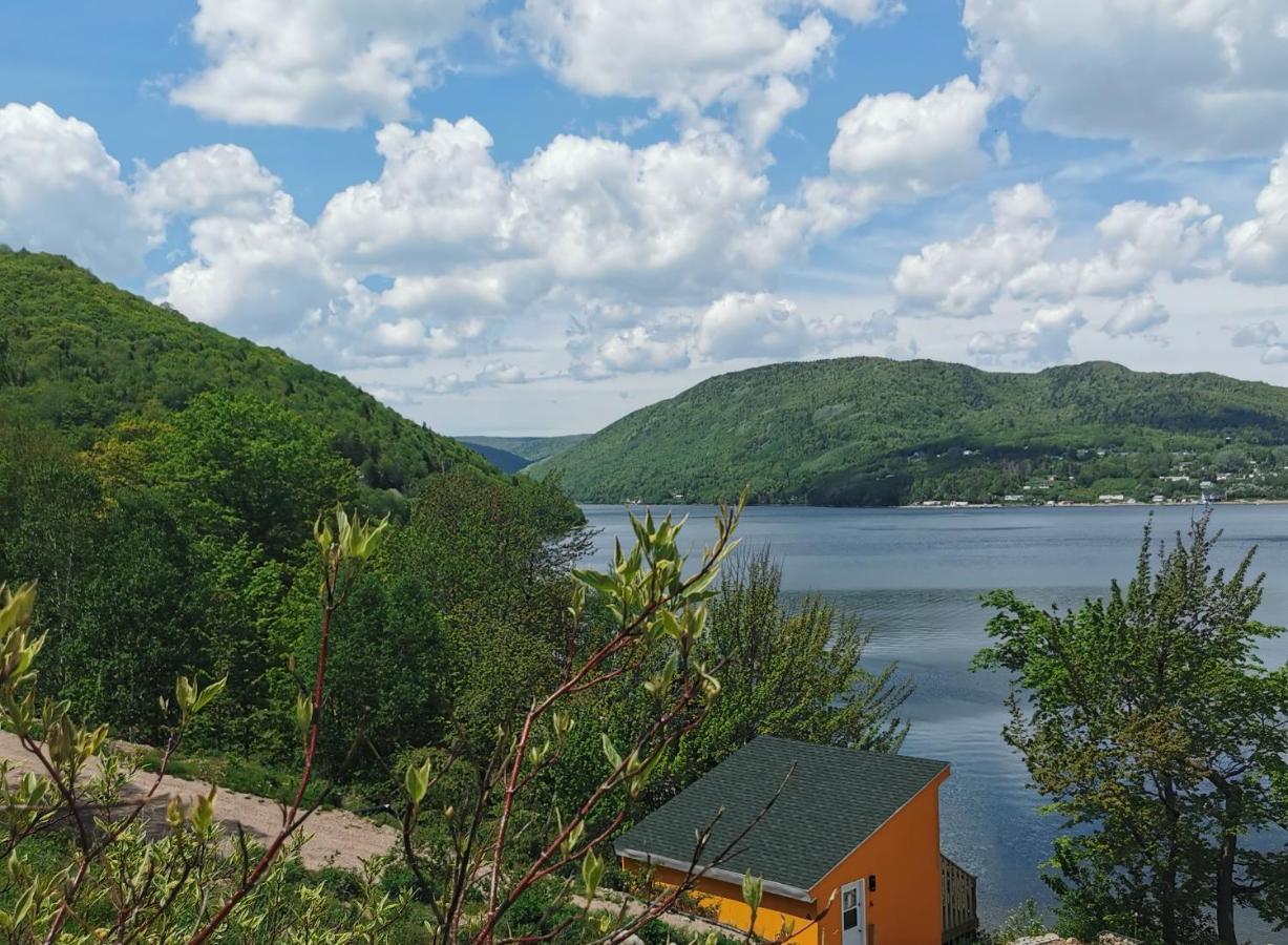 Knotty Pine Cottages, Suites & Motel Rooms Ingonish Exteriér fotografie