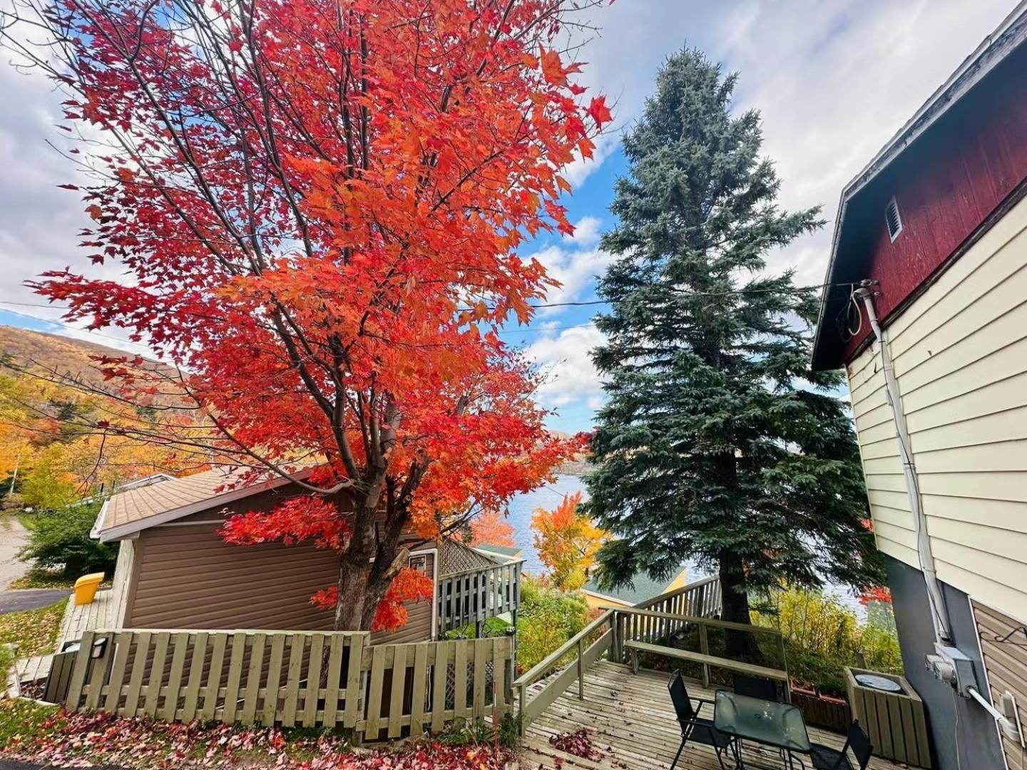 Knotty Pine Cottages, Suites & Motel Rooms Ingonish Exteriér fotografie